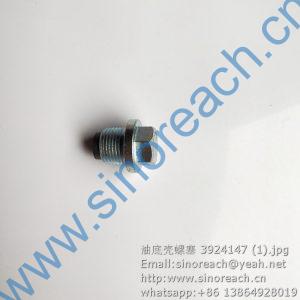 Weichai Engine Oil Pan Drain Plug 612600150108 Vg2600150108 - China  612600150108, Vg2600150108